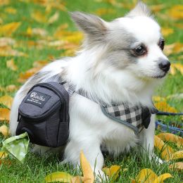 Pet Dog treat pouch Portable Multifunction Dog training bag Outdoor Travel Dog Poop Bag Dispenser Durable Pet accessories (Color: Gray)