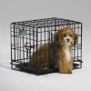 Household Mobile Folding Metal Pet Cat Dog Cage