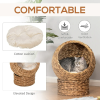 Simple Yet Practical Natural Braided Banana Leaf Elevated Cat Bed Basket With Cushion