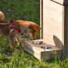 31.5' Wooden Dog House Puppy Shelter Kennel Outdoor & Indoor Dog crate, with Flower Stand, Plant Stand, With Wood Feeder