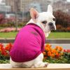 Bulldog Puppy Cat Pet Clothes Hoodies Two-legged Clothing Knitting Wool Small And -sized Dogs Clothes